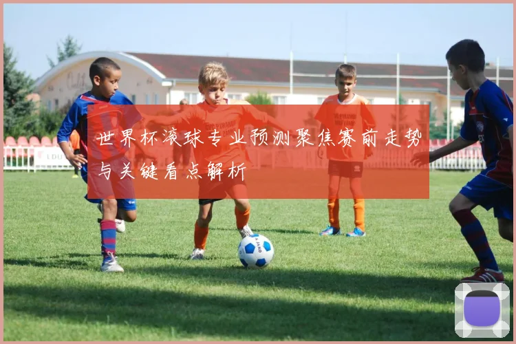 世界杯滚球专业预测聚焦赛前走势与关键看点解析