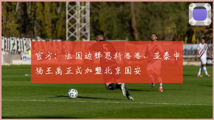官方：法国边锋恩科洛洛、亚泰中场王禹正式加盟北京国安