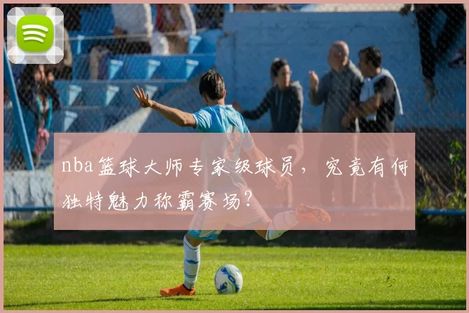 nba篮球大师专家级球员,究竟有何独特魅力称霸赛场?
