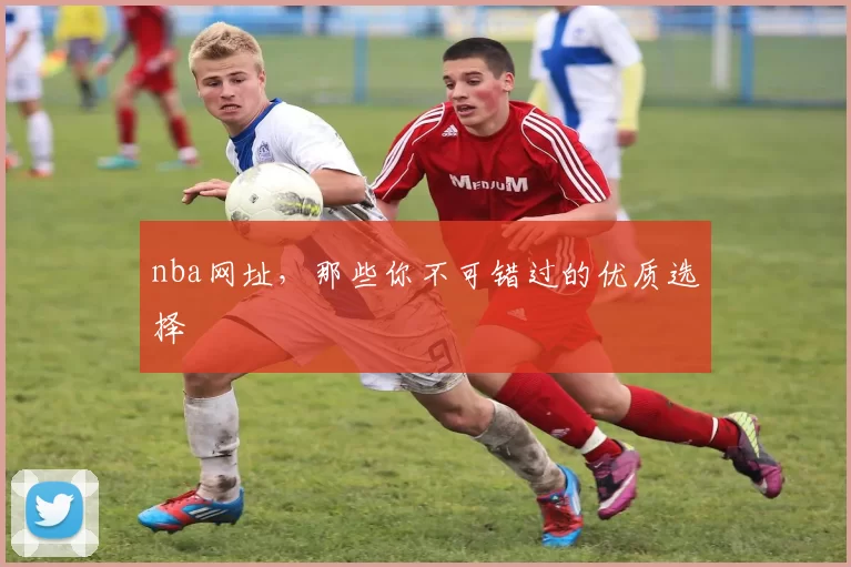 nba网址，那些你不可错过的优质选择