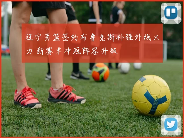 辽宁男篮签约布鲁克斯补强外线火力 新赛季冲冠阵容升级